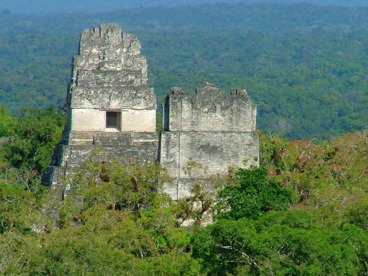 Villa Maya Flores Buitenkant foto